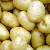 Decrease in potato prices